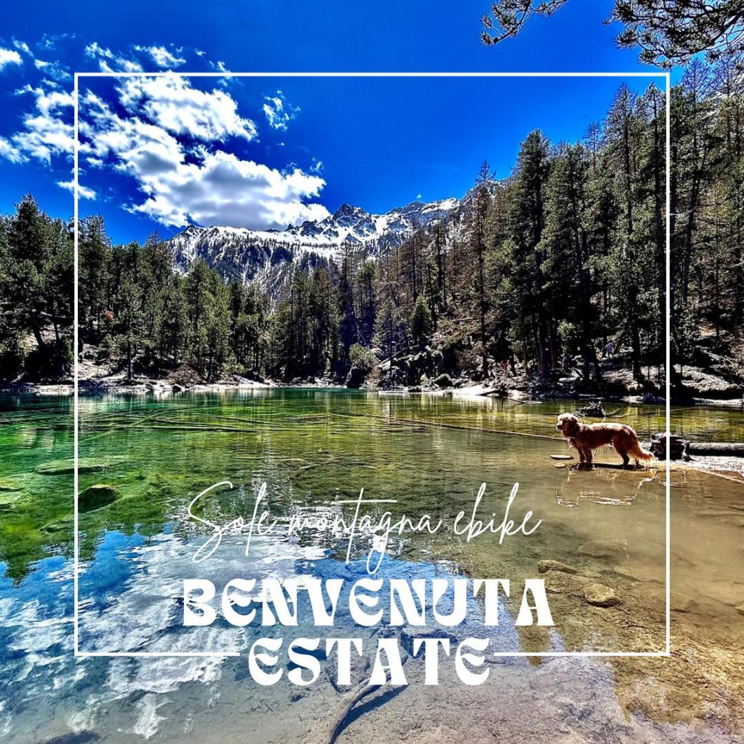 Hotel La Nigritella Bardonecchia Esterno foto